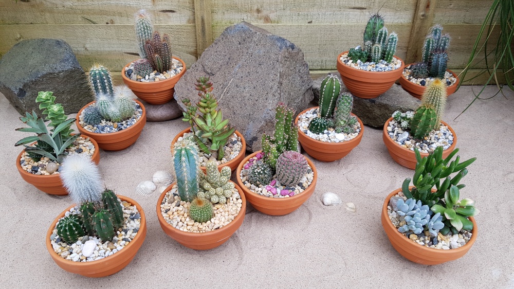 11cm Terracotta Ribbed Bowl - Garden (12)